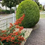 Lejlighed Simply Good Borna