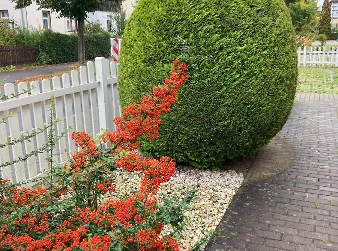 Apartman Simply Good Borna