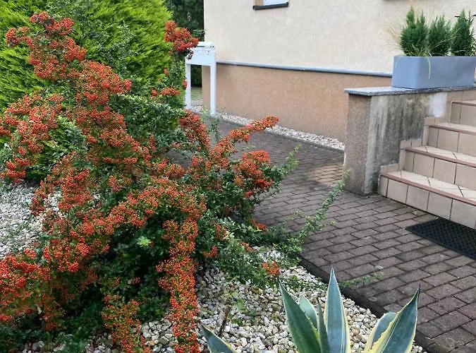 Simply Good Apartment Borna